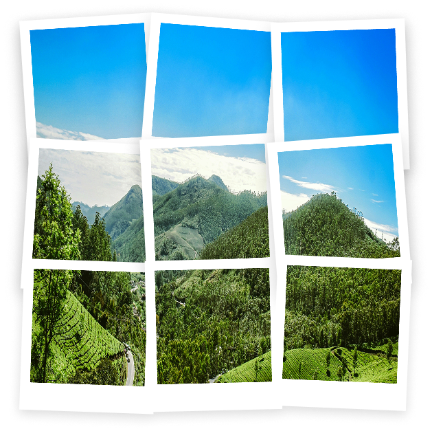 Nine instant photos arranged into one large collage